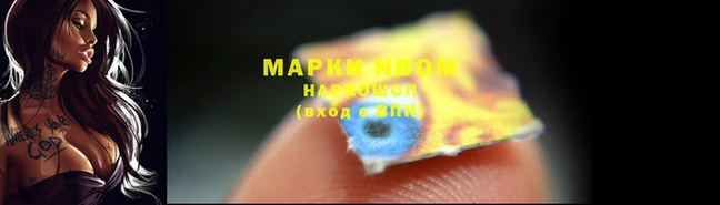 индика Балахна