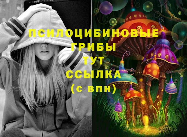индика Балахна