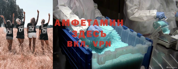 индика Балахна
