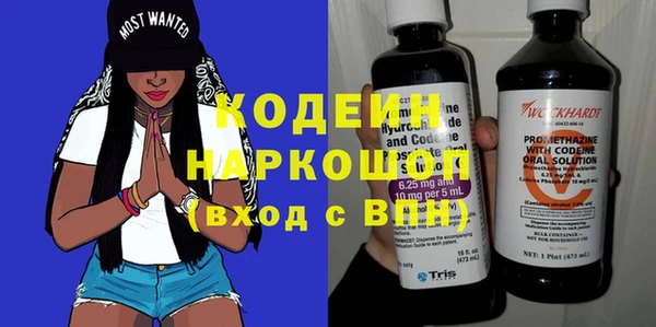 индика Балахна