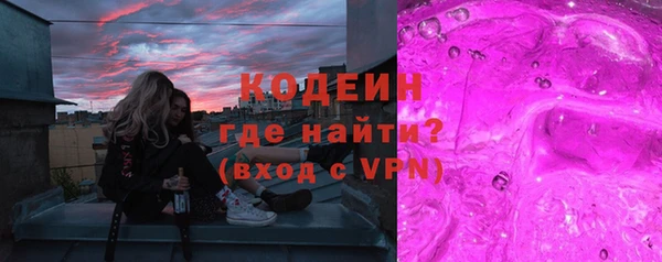 индика Балахна